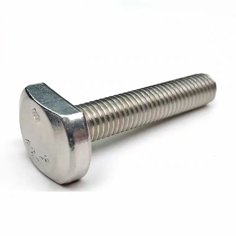 Stainless Steel T-Bolt/T head bolt