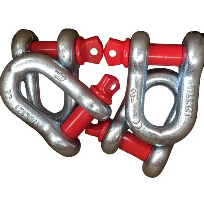 Factory us type screw pin anchor shackle dee shackle 0.5-55T Marine Hardware Lifting D Shackle